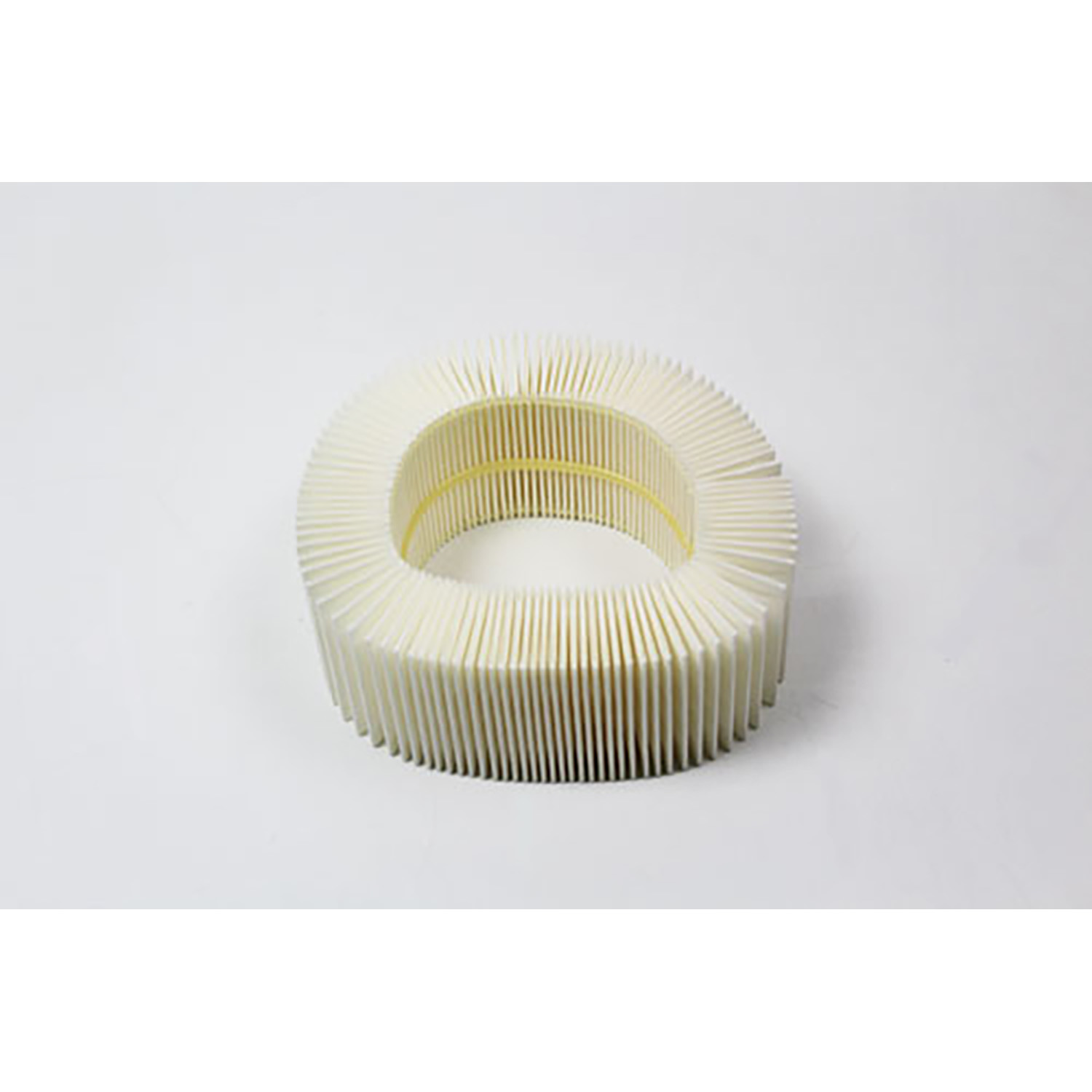 Image of Air Filter (605191AM)