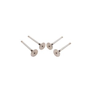 Image of Exhaust Valve (ERR1156OEM)