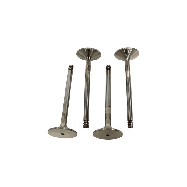 Image of Inlet Valve (ERR1157AM)