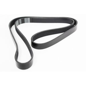 Image of Fan Belt (polyvee) (ERR3287AM)