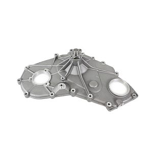 Image of Engine Front Cover (ERR7146AM)