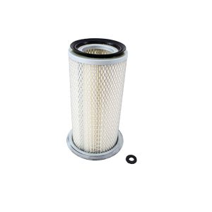 Image of Air Filter (ESR1049AM)