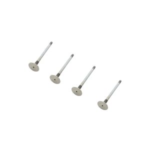 Image of Exhaust Valve (LR008130OEM)