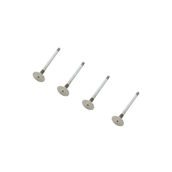 Image of Exhaust Valve (LR008130OEM)