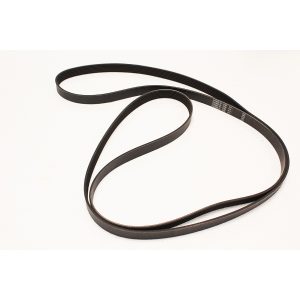 Image of Drive Belt (LR031360AM)