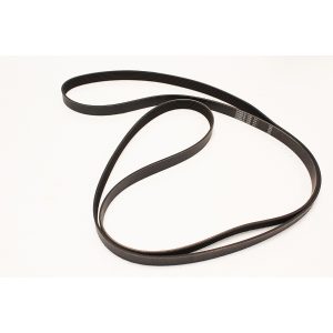 Image of Drive Belt (LR031360OEM)