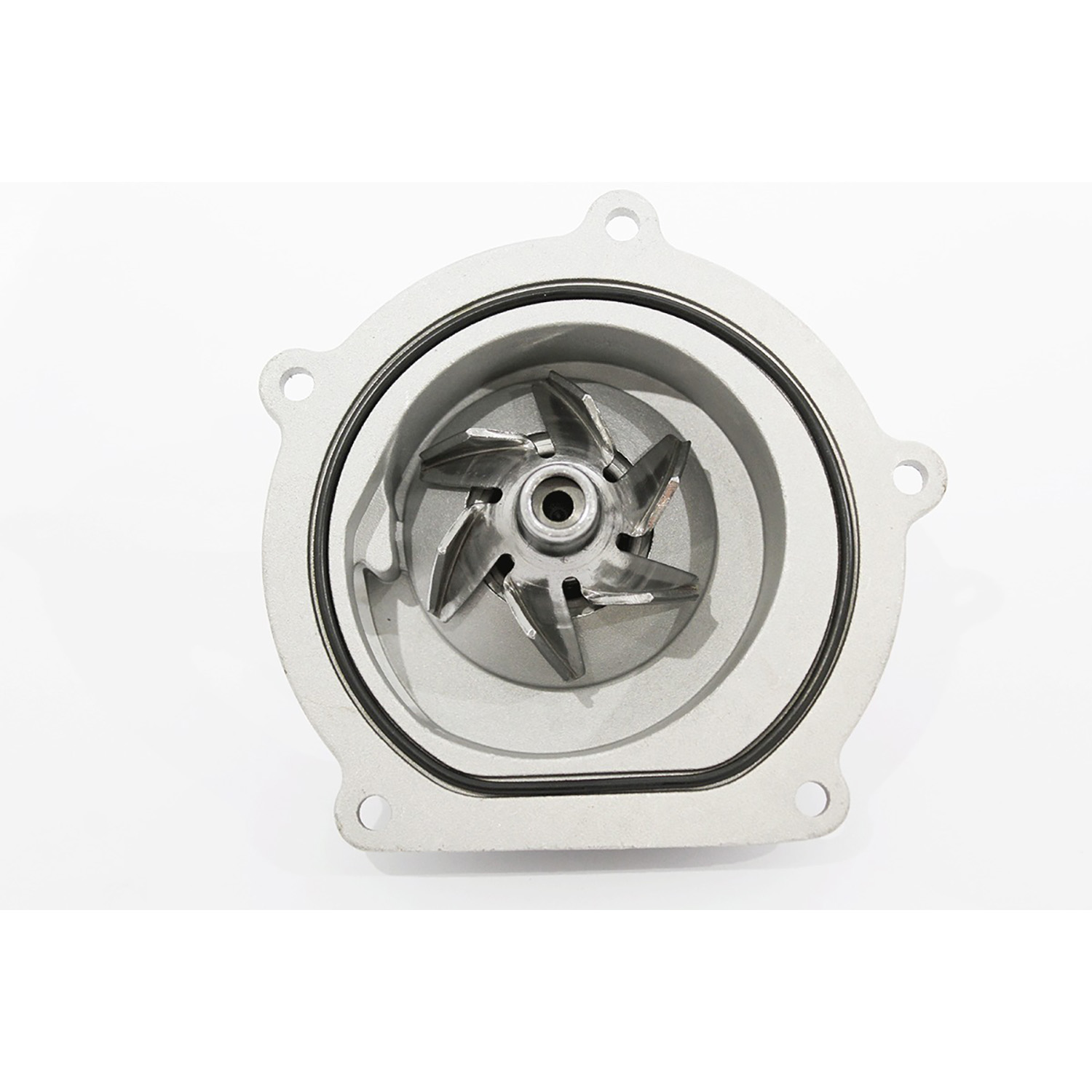 Image of Water Pump (PEM500040AM)