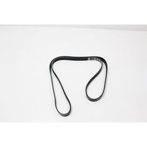 Image of Polyvee Drive Belt (PQS10061AM)