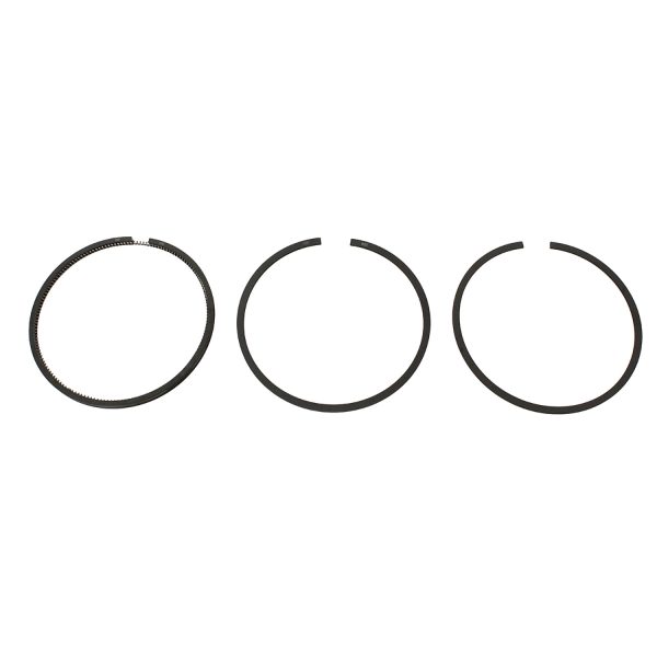 Image of Piston Ring Set (for single piston) Plus 020 (RTC4190020AM)