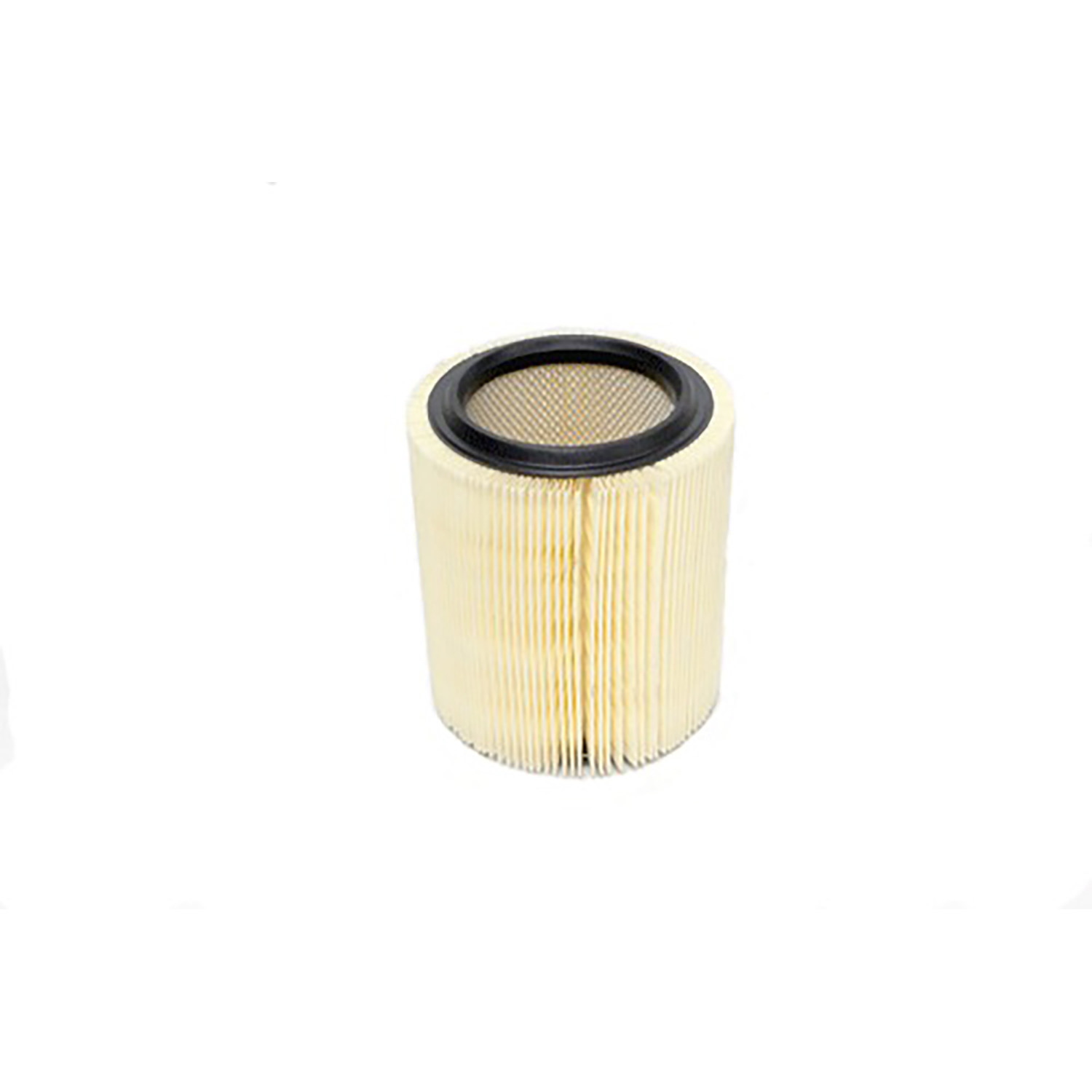 Image of Air Filter (RTC4683OEM)