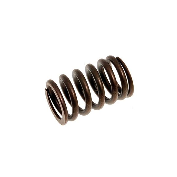 Image of Valve Spring (UKC8137OEM)