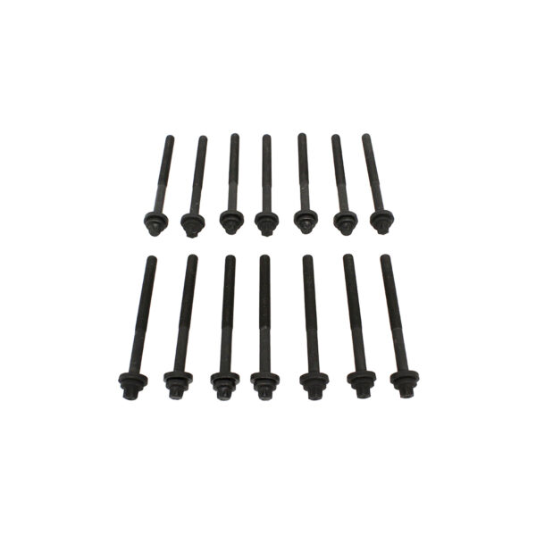 Image of Cylinder Head Bolt Set (14 piece) (LDY000040AM)