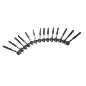 Image of Cylinder Head Bolt Set (14 piece) (LDY000040OEM)