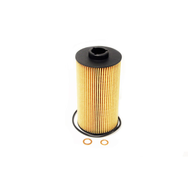 Image of Oil Filter (element style) (LPW500030AM)