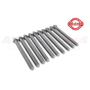 Image of Cylinder Head Bolt Set (10 piece) (LR008341OEM)