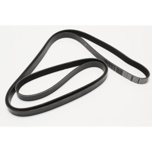 Image of Auxiliary Drive Belt (primary) (LR022803OEM)