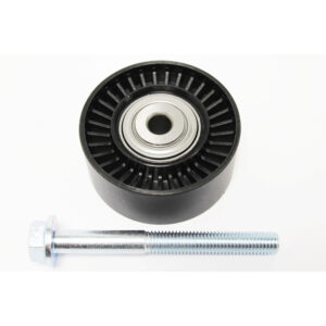 Image of Drive Belt Idler Pulley RH lower (LR025988AM)