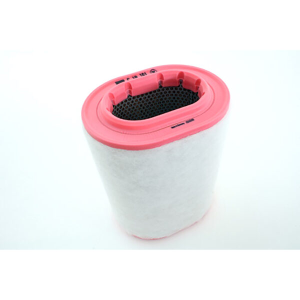 Image of Air Filter (PHE000050AM)