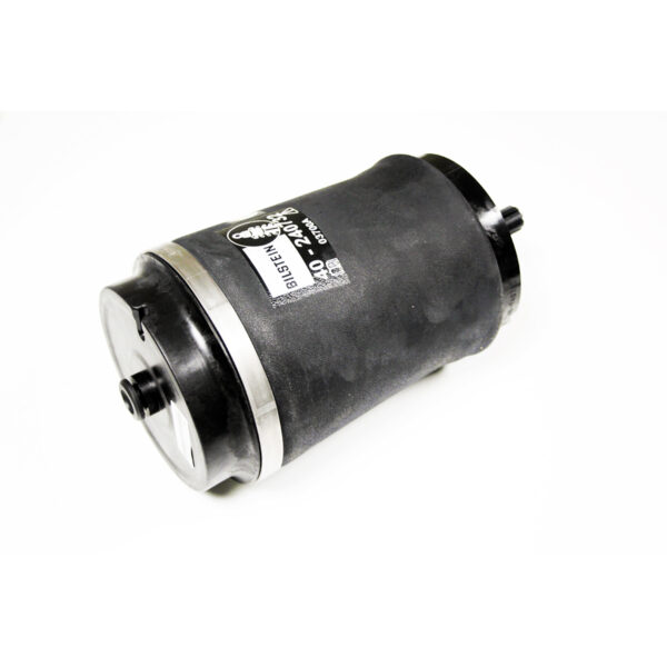 Image of Rear Air Spring (RKB500240B)