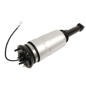 Image of Air Suspension Spring and Shock Absorber (front) Right Hand (LR052866PR)