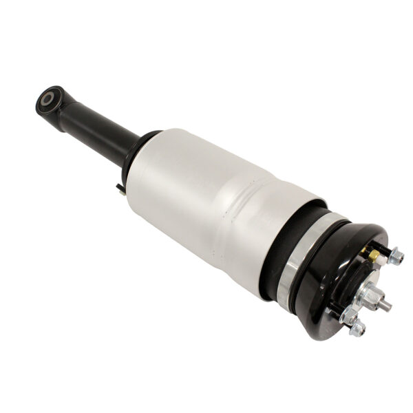 Image of Air Spring and Shock Absorber Assembly (front) (RNB501580PR)