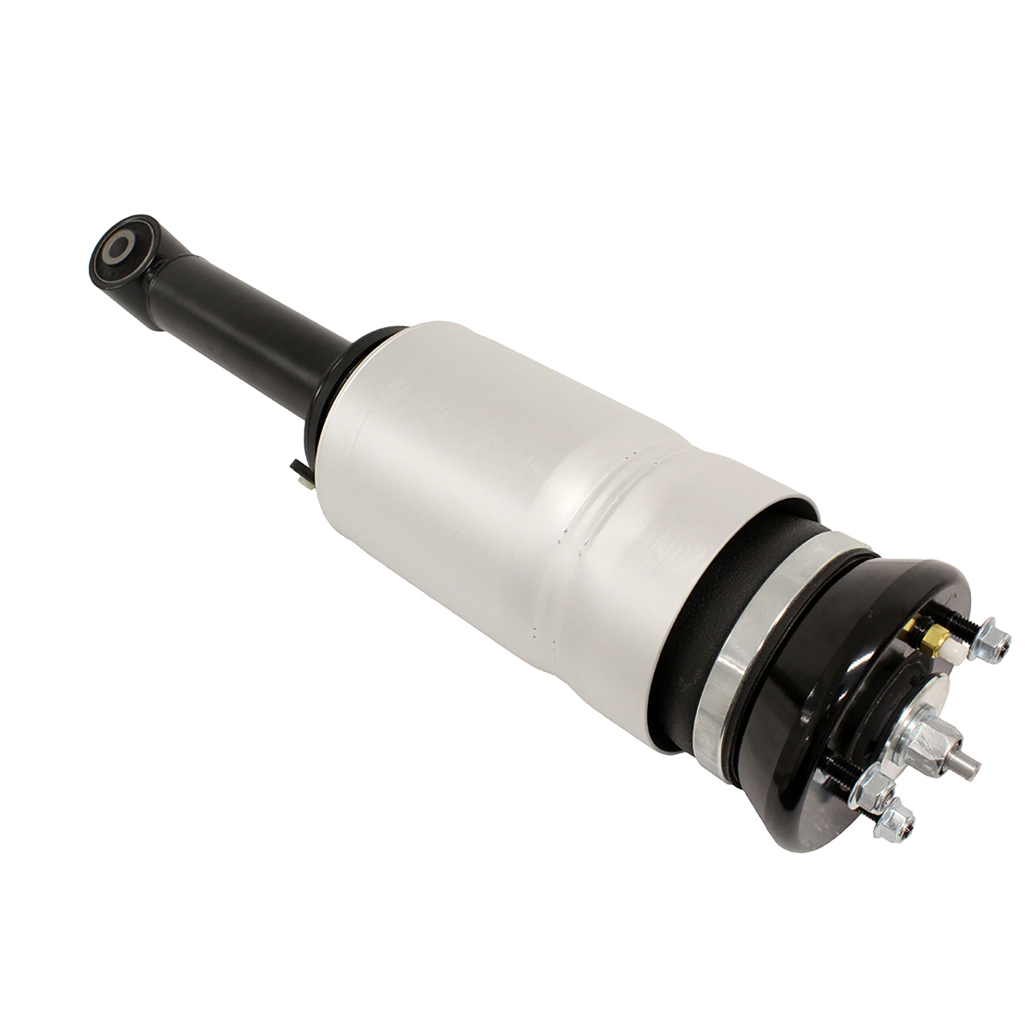 Image of Air Spring and Shock Absorber Assembly (front) (RNB501580PR)