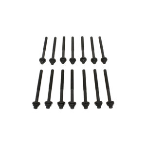 Cylinder Head Bolt Set (14 piece) - LDY000040AM